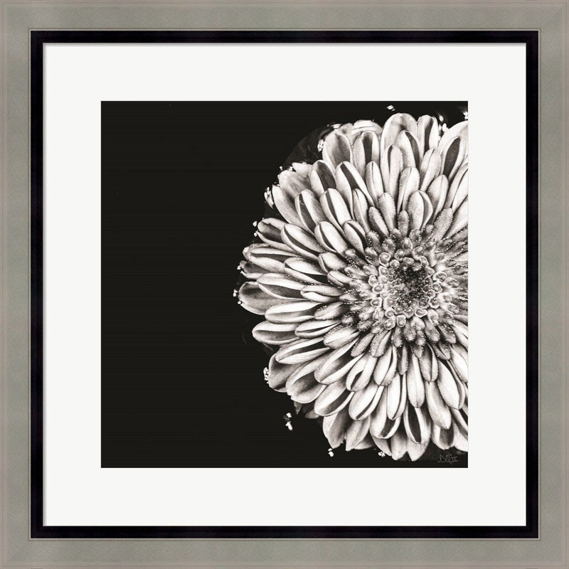 Black and White Love II by Donnie Quillen, Framed Art