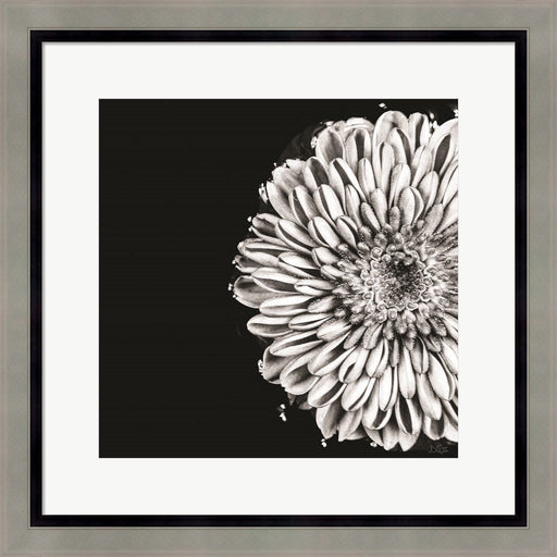 Black and White Love II by Donnie Quillen, Framed Art