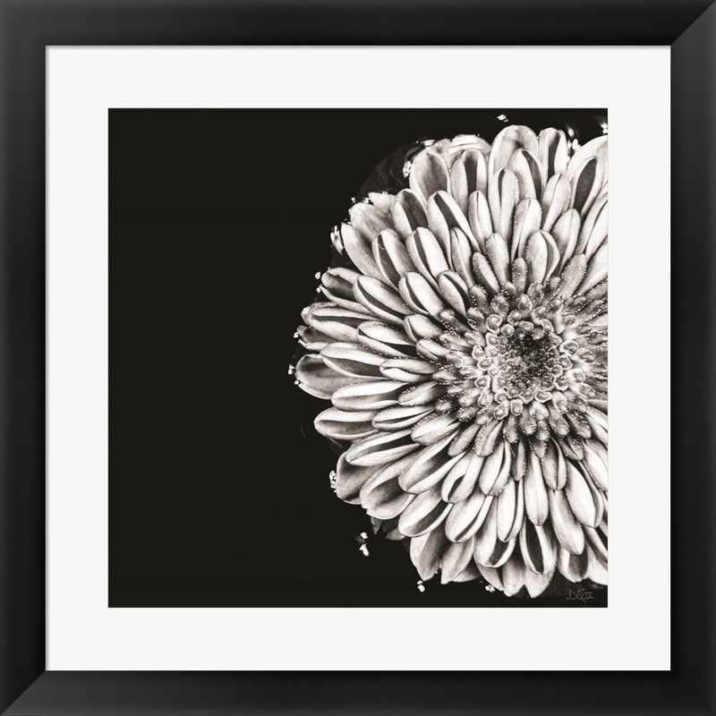 Black and White Love II by Donnie Quillen, Framed Art