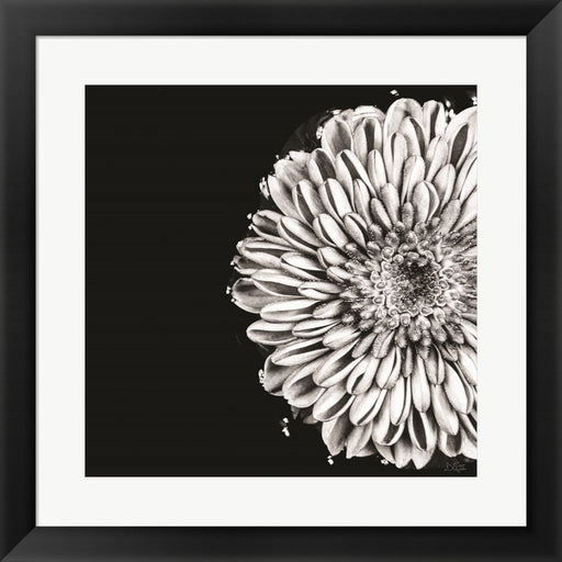 Black and White Love II by Donnie Quillen, Framed Art