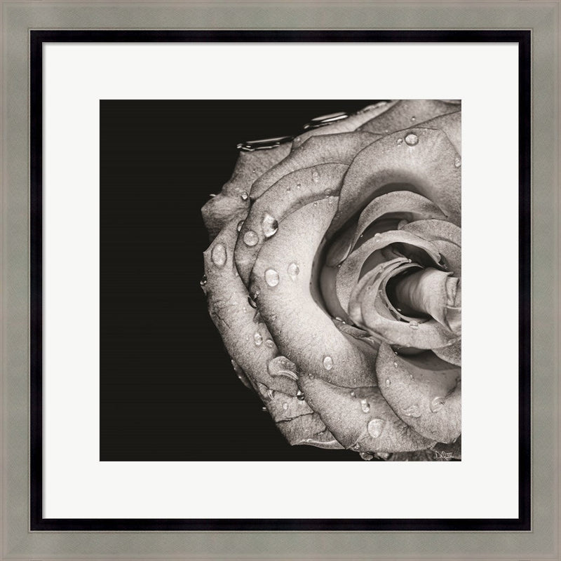 Lost Love by Donnie Quillen, Framed Art