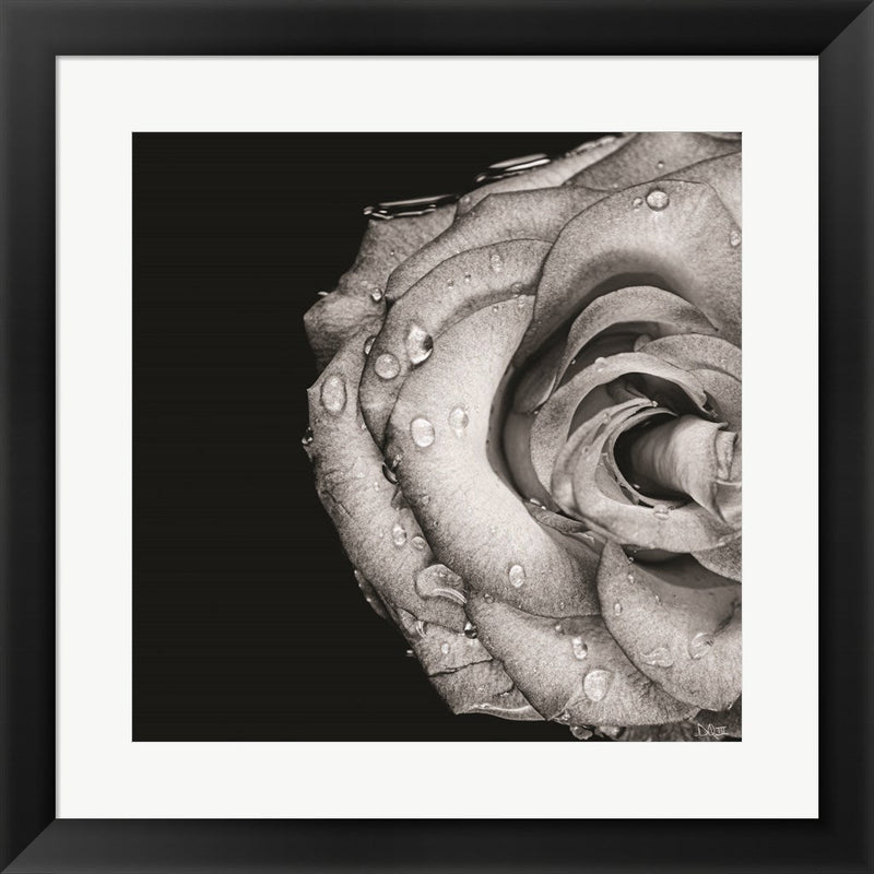 Lost Love by Donnie Quillen, Framed Art