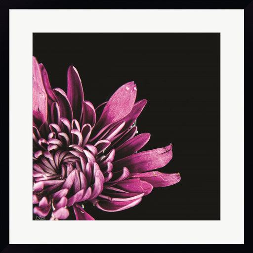 Love Intertwined I by Donnie Quillen, Framed Art