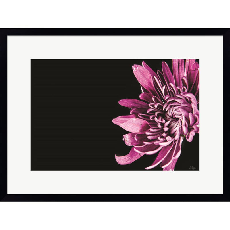 Love Intertwined II by Donnie Quillen, Framed Art