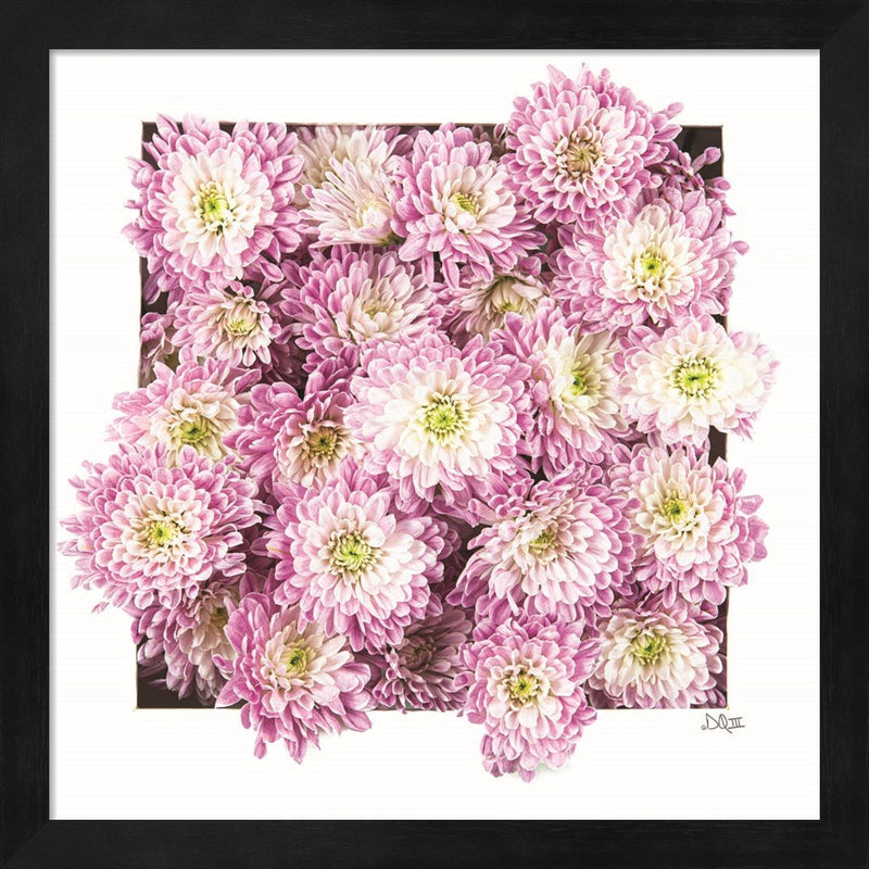 Pretty in Purple II by Donnie Quillen, Framed Art
