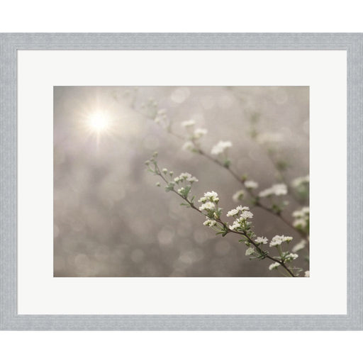 Floral Dreams by Lori Deiter, Framed Art