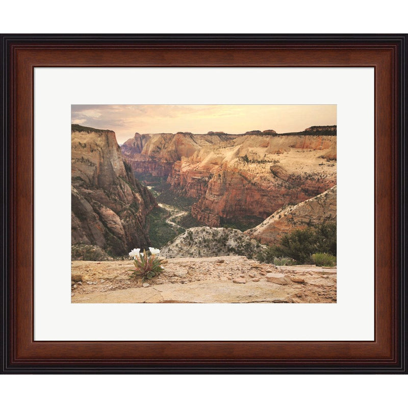 Zion Desert Life by Lori Deiter, Framed Art