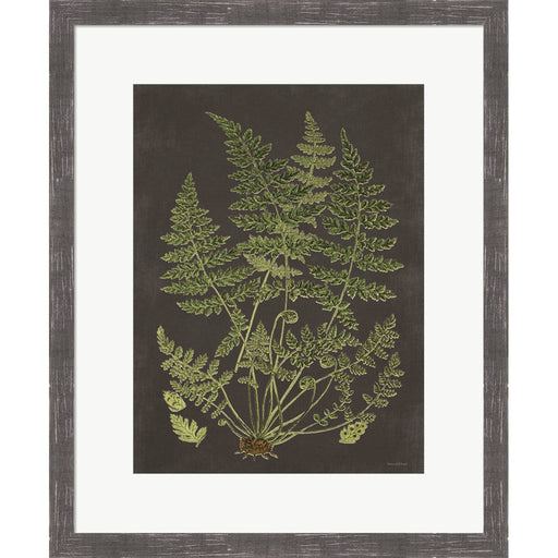 Fern Study by Lettered & Lined, Framed Art