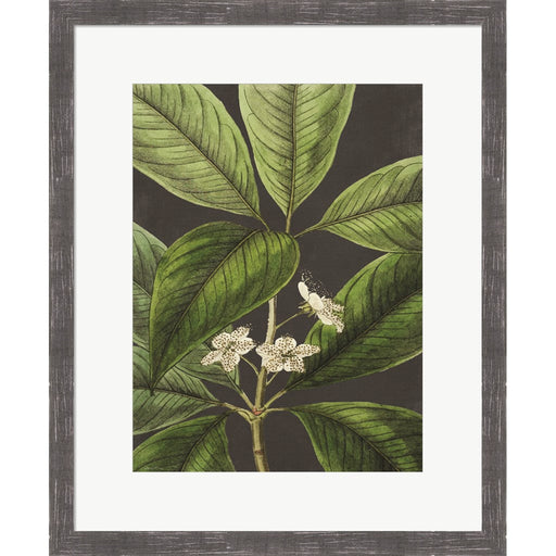 Grand Leaves by Lettered & Lined, Framed Art