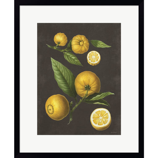 Lemon Citrus by Lettered & Lined, Framed Art