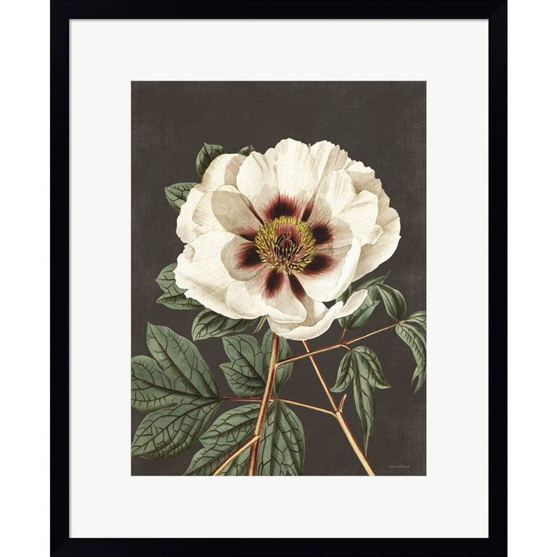 Vintage Rose by Lettered & Lined, Framed Art