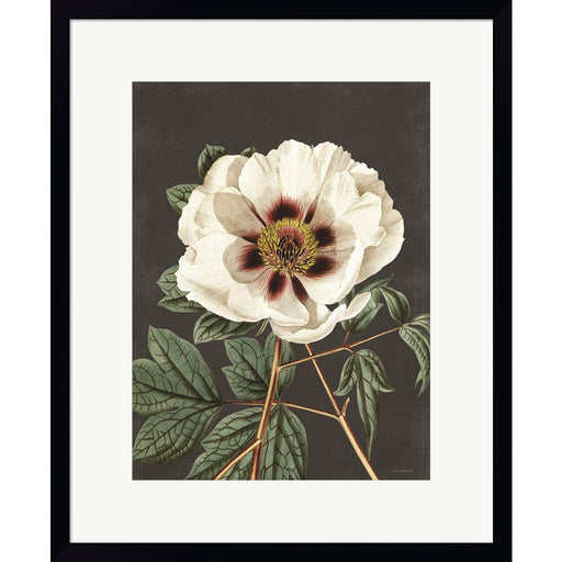 Vintage Rose by Lettered & Lined, Framed Art