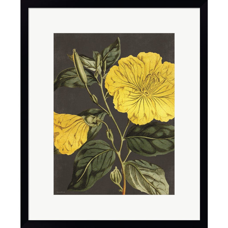 Yellow Vine by Lettered & Lined, Framed Art