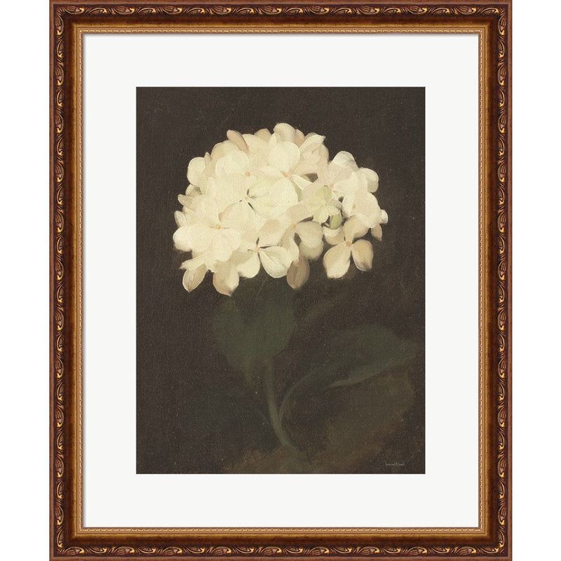 Vintage White Hydrangea by Lettered & Lined, Framed Art
