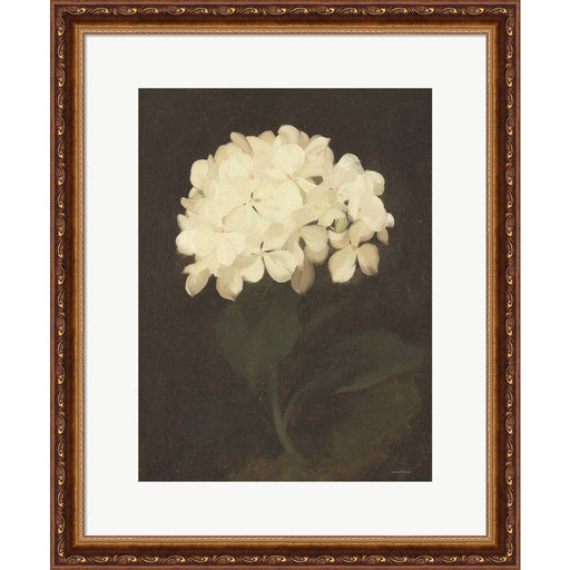 Vintage White Hydrangea by Lettered & Lined, Framed Art