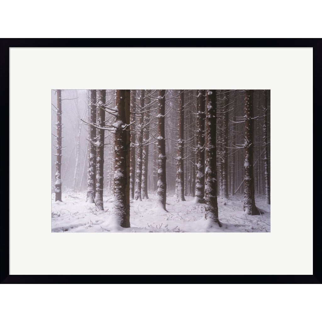 SNOW Art Collection: Transform Winter Landscapes into Masterpieces