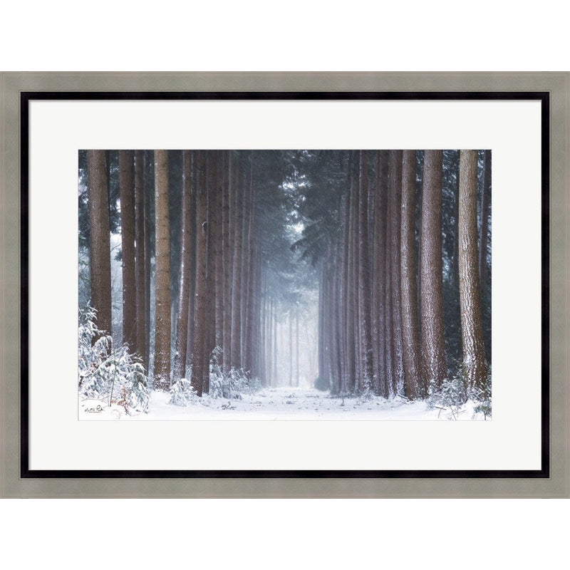 Polar Winter by Martin Podt, Framed Art