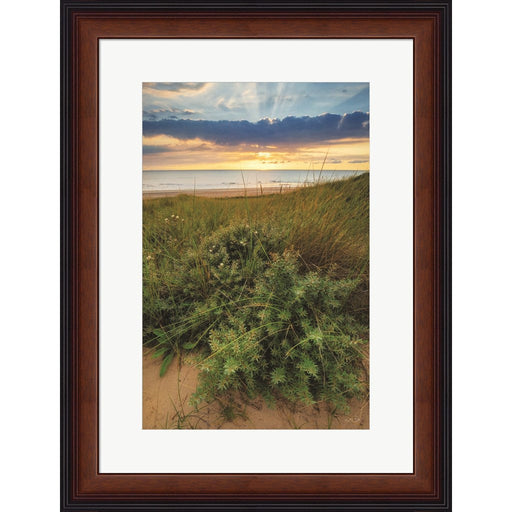 Dutch Dunes by Martin Podt, Framed Art