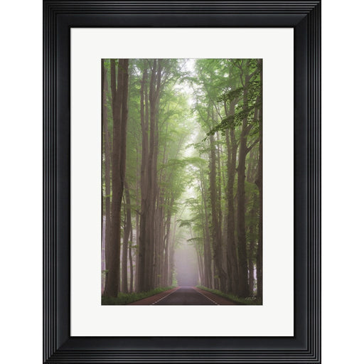 Foggy Road by Martin Podt, Framed Art