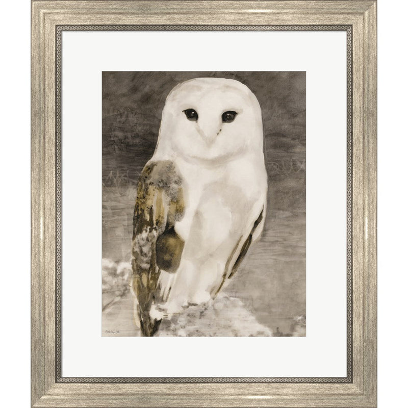 Snowy Owl 1 by Stellar Design Studio, Framed Art