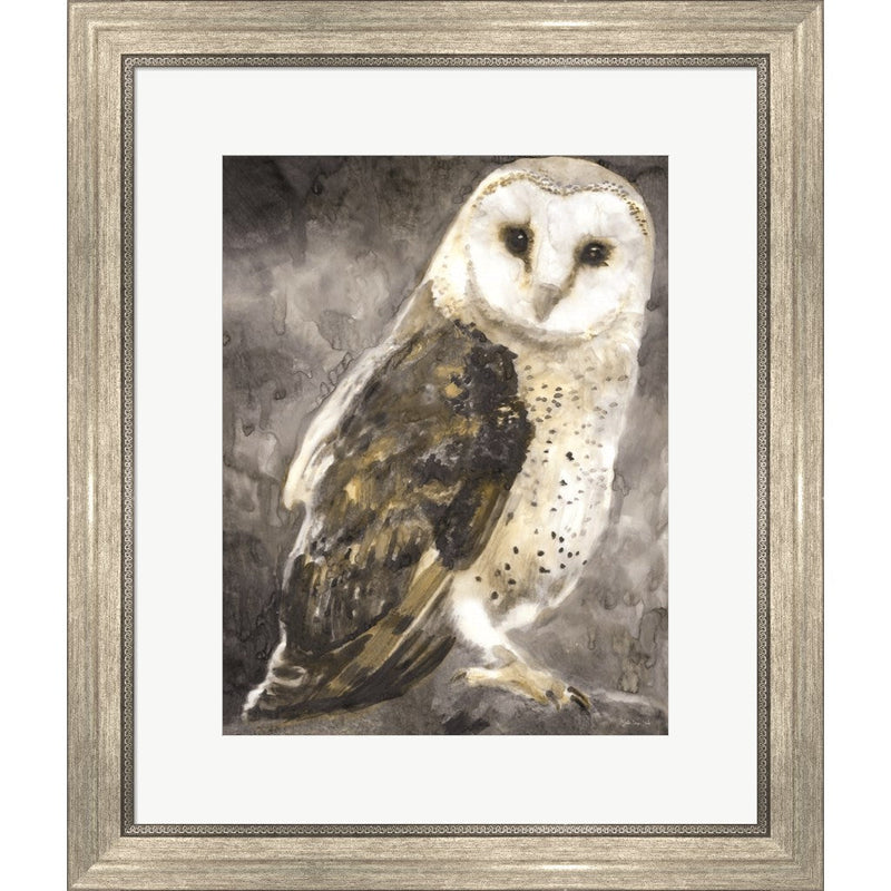 Snowy Owl 2 by Stellar Design Studio, Framed Art