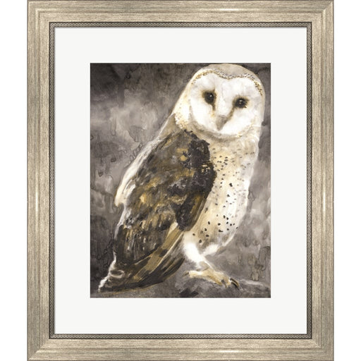 Snowy Owl 2 by Stellar Design Studio, Framed Art