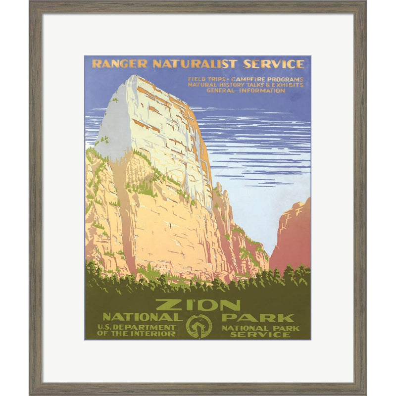 Zion National Park by Stellar Design Studio, Framed Art