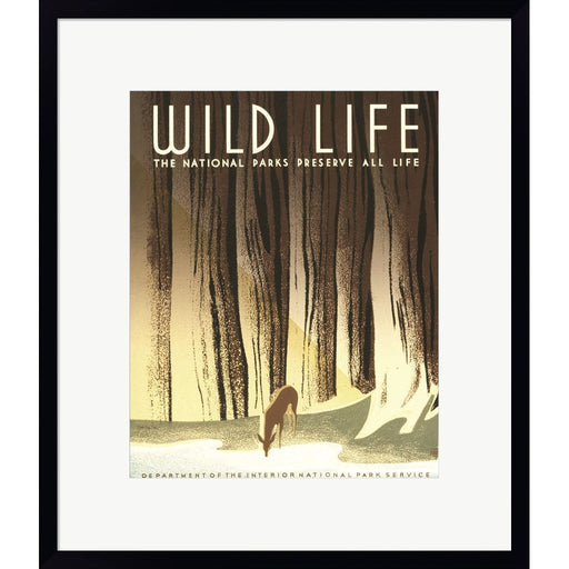 Wild Life by Stellar Design Studio, Framed Art