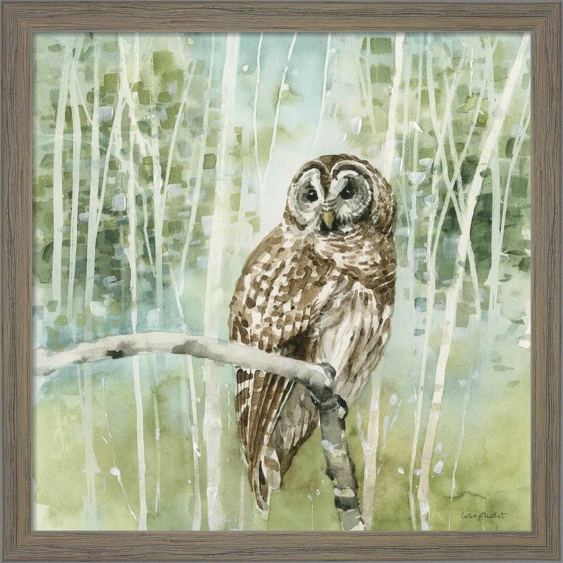 Nature's Call III by Lisa Audit, Framed Art