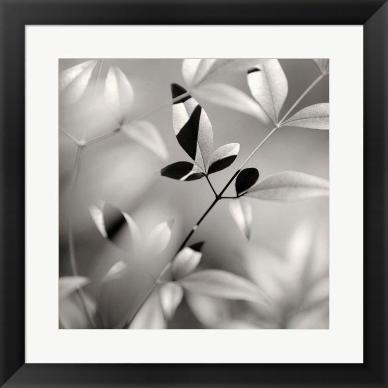 Botanical Study No. 5 by Nicholas Bell, Framed Art