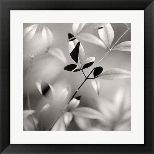Botanical Study No. 5 by Nicholas Bell, Framed Art
