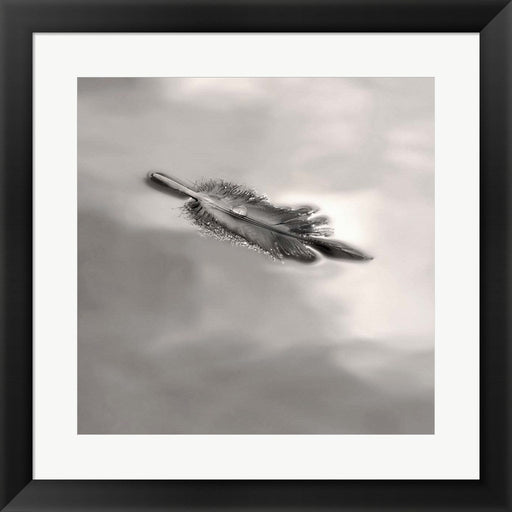 Feather on Liquid Sky by Nicholas Bell, Framed Art