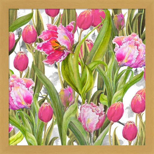 Tulip Symphony I by Diannart, Framed Art