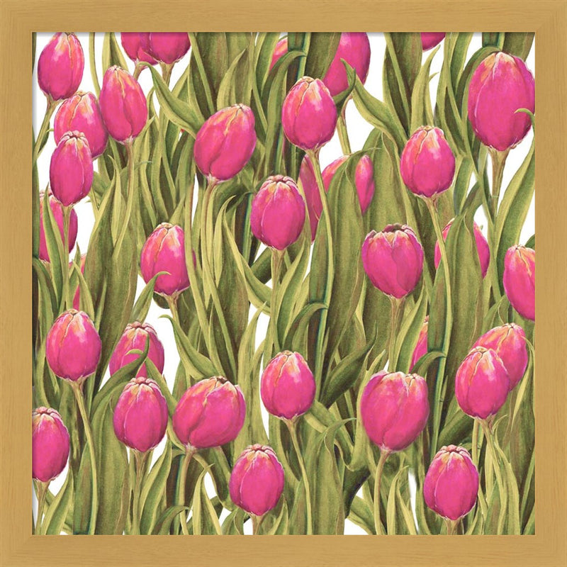 Tulip Symphony II by Diannart, Framed Art
