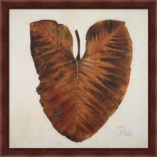 Amazonas I by Patricia Pinto, Framed Art