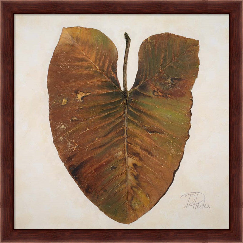 Amazonas II by Patricia Pinto, Framed Art