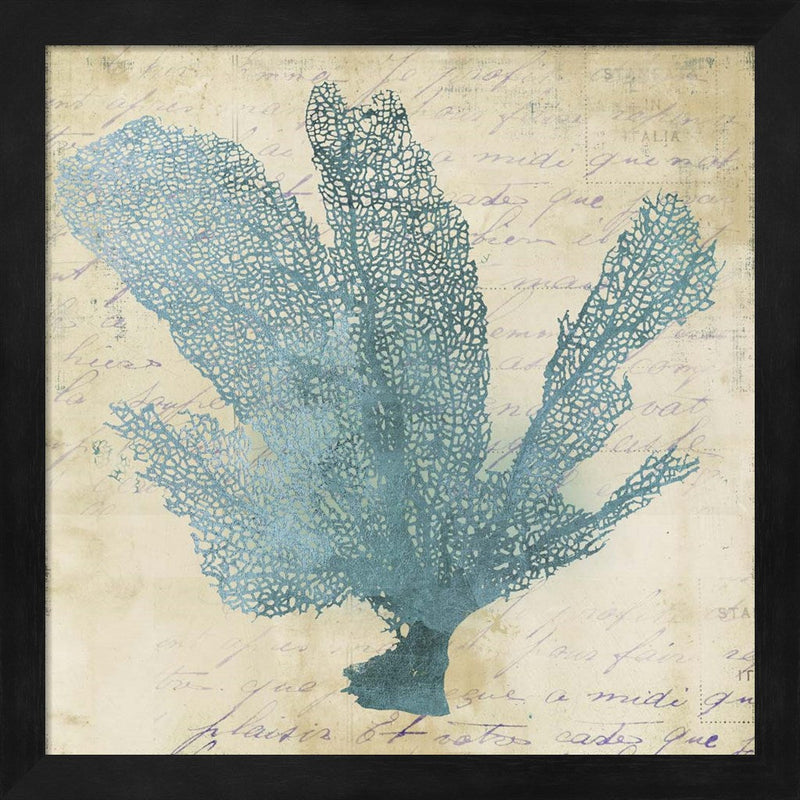 Blue Coral I by Posters International Studio, Framed Art