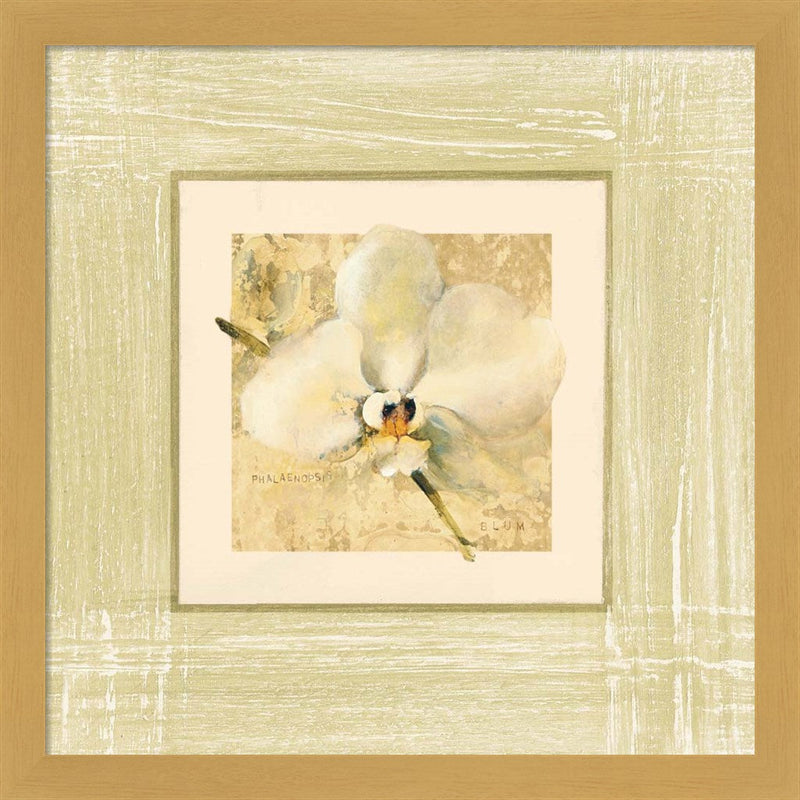 Exotic Floral III by Cheri Blum, Framed Art