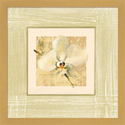 Exotic Floral III by Cheri Blum, Framed Art