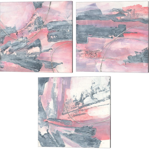 Whitewashed Blush by Chris Paschke, 3 Piece Canvas Art Set