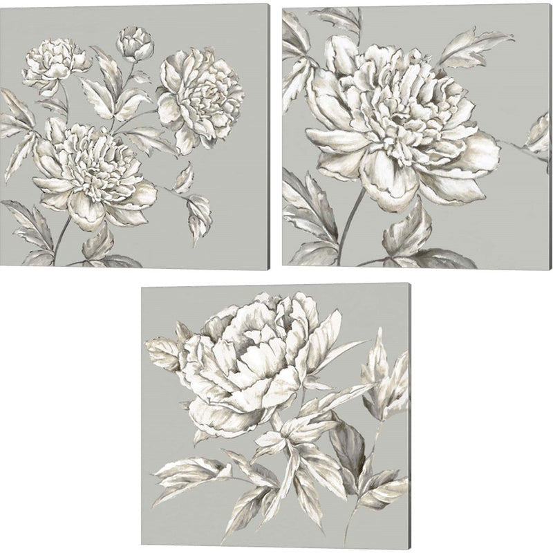 Botanical by Eva Watts, 3 Piece Canvas Art Set