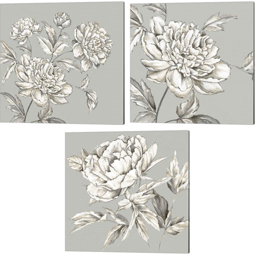 Botanical by Eva Watts, 3 Piece Canvas Art Set
