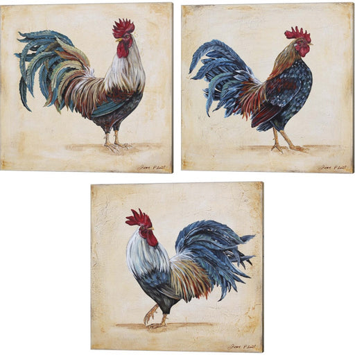 Rooster by Jean Plout, 3 Piece Canvas Art Set