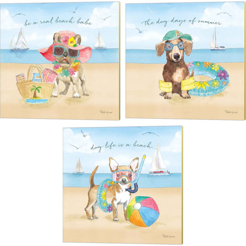 Summer Paws by Beth Grove, 3 Piece Canvas Art Set