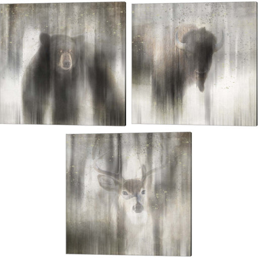 Antique Wildlife by LightBoxJournal, 3 Piece Canvas Art Set