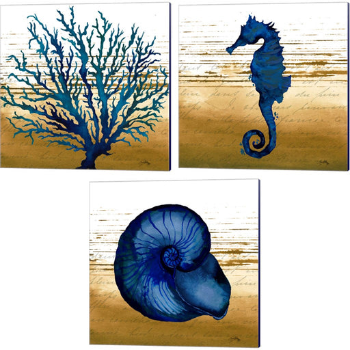 Coastal Blue by Elizabeth Medley, 3 Piece Canvas Art Set