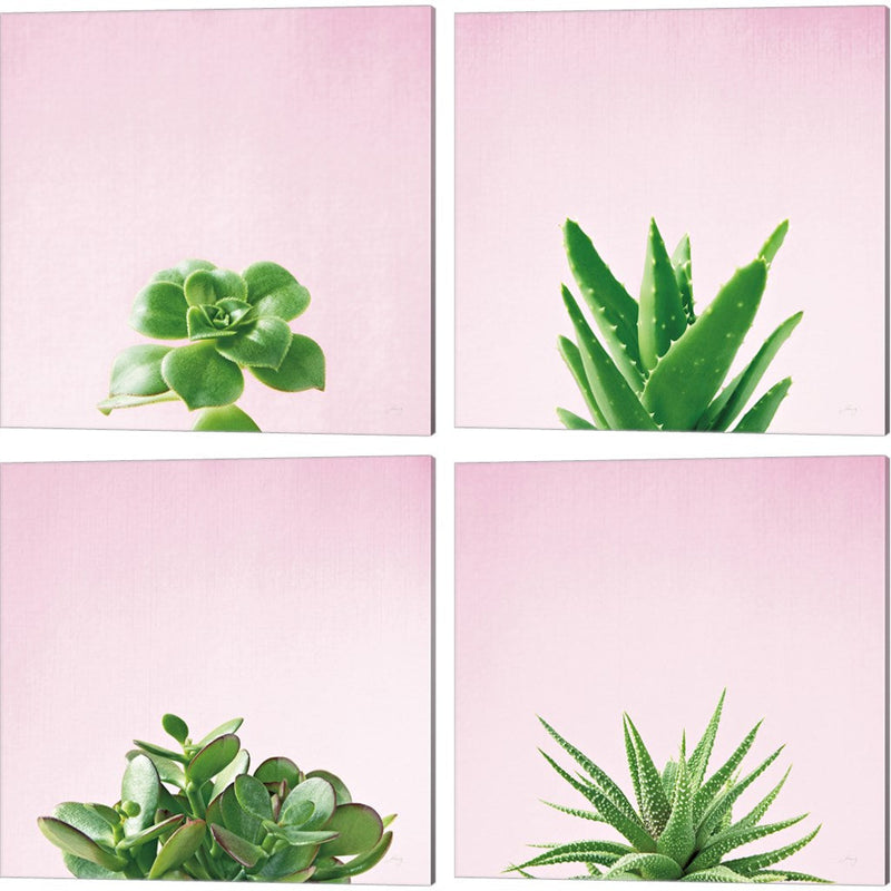 Succulent Simplicity on Pink by Felicity Bradley, 4 Piece Canvas Art Set