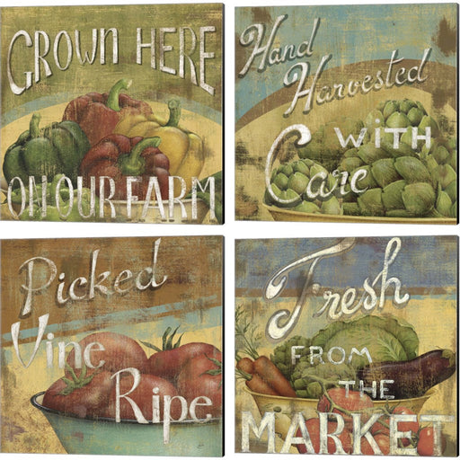 from The Market by Daphne Brissonnet, 4 Piece Canvas Art Set