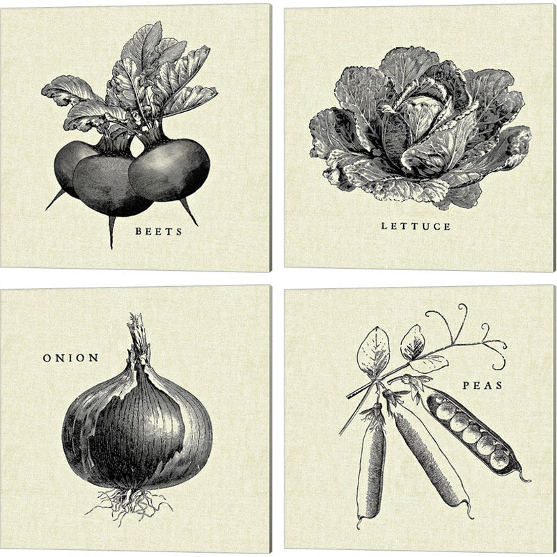 Linen Vegetable BW Sketch by Studio Mousseau, 4 Piece Canvas Art Set