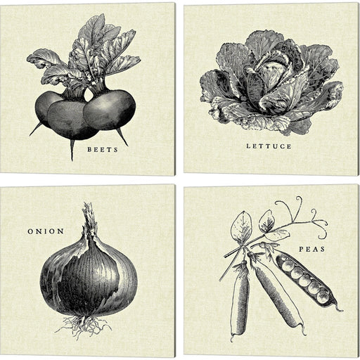 Linen Vegetable BW Sketch by Studio Mousseau, 4 Piece Canvas Art Set